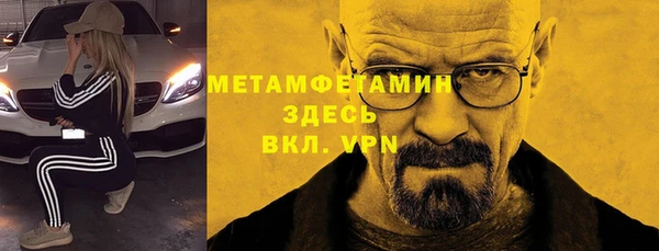 крисы Баксан