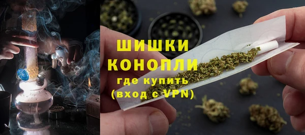 крисы Баксан