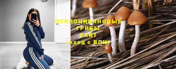 амфетамин Алексеевка