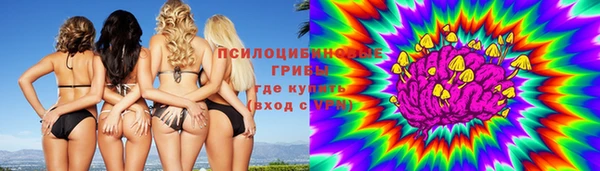 крисы Баксан