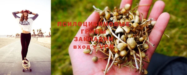 бошки Балахна