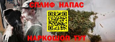 дживик Кимры