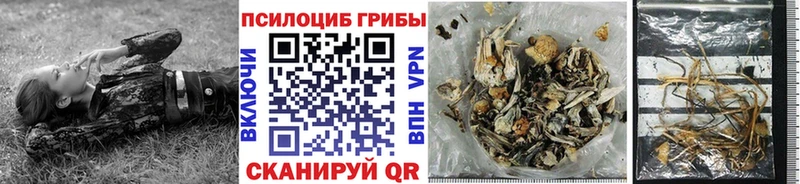 Галлюциногенные грибы мухоморы Муравленко