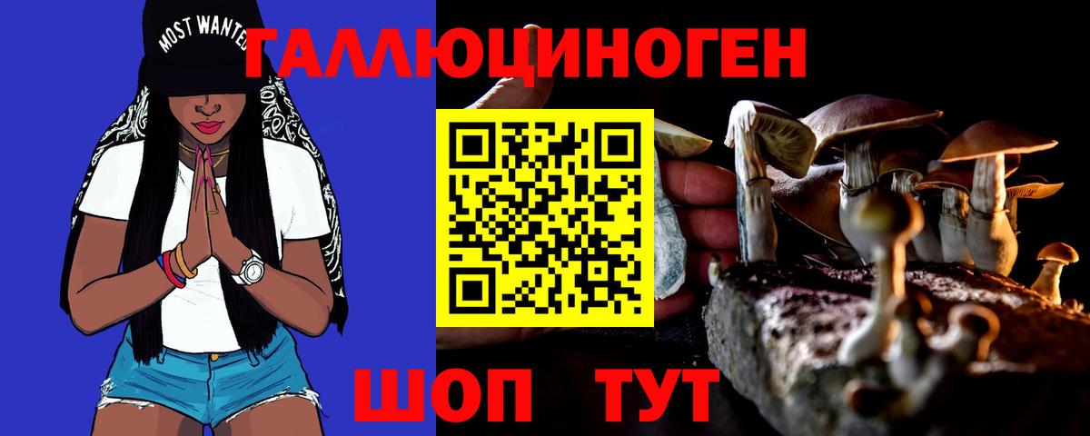 Псилоцибиновые грибы Psilocybine cubensis Муравленко